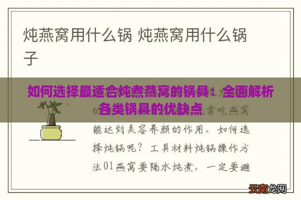 如何选择最适合炖煮燕窝的锅具：全面解析各类锅具的优缺点