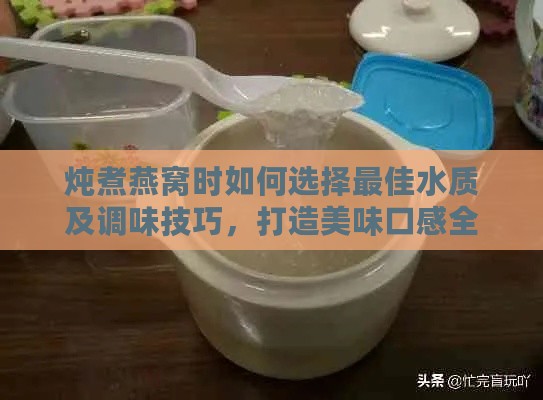 炖煮燕窝时如何选择更佳水质及调味技巧，打造美味口感全攻略