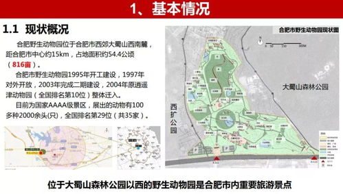 开燕窝店在什么地方开好一点：选址策略与更佳地点分析