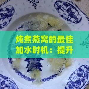 炖煮燕窝的更佳加水时机：提升口感与营养的秘诀