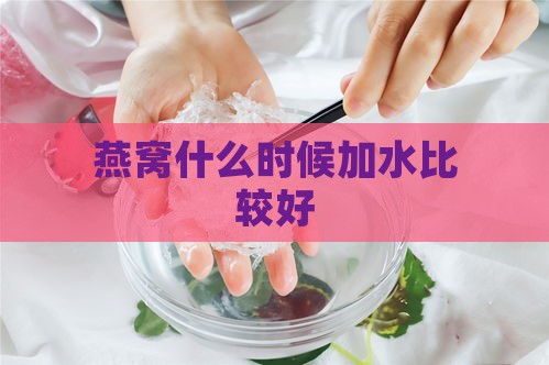 燕窝什么时候加水比较好