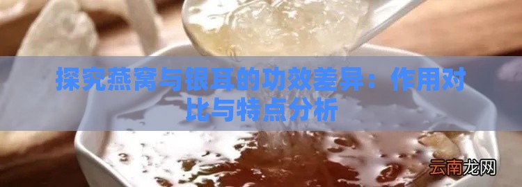 探究燕窝与银耳的功效差异：作用对比与特点分析