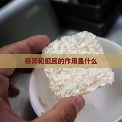 燕窝和银耳的作用是什么