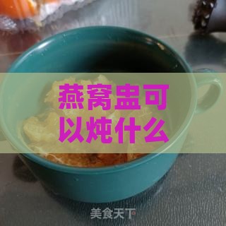 燕窝盅可以炖什么东西呢：炖盅燕窝的多种做法与创意食谱