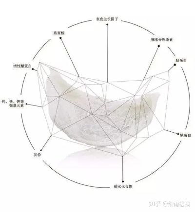 '揭秘燕窝中盏底座的秘密：你所不知道的燕窝结构要点'