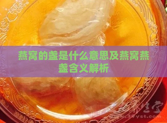 燕窝的盏是什么意思及燕窝燕盏含义解析