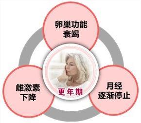 燕窝如何调节女士内分泌：全面解析其功效与作用机制