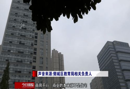 揭秘鹤岗：从地域特色到知名，全面了解鹤岗的城市名片