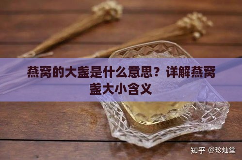 燕窝的大盏是什么意思？详解燕窝盏大小含义