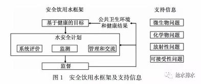 从选材到成品：详尽解析药水燕窝的全步骤制作指南