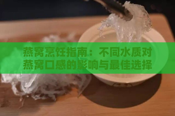 燕窝烹饪指南：不同水质对燕窝口感的影响与更佳选择解析