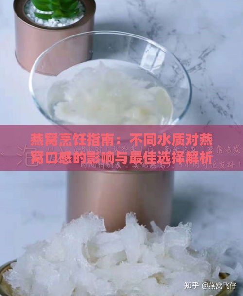 燕窝烹饪指南：不同水质对燕窝口感的影响与更佳选择解析