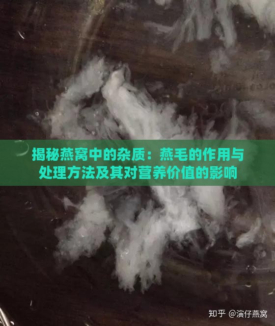 揭秘燕窝中的杂质：燕毛的作用与处理方法及其对营养价值的影响