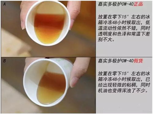 详探真燕窝泡水后的特征与变化：鉴别燕窝真伪的全面指南