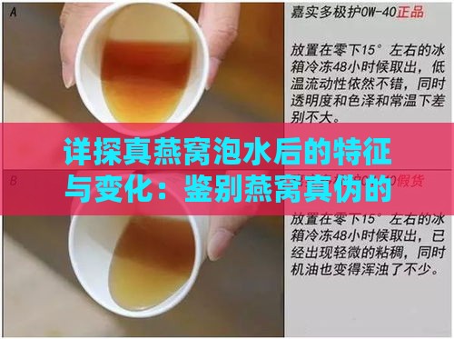 详探真燕窝泡水后的特征与变化：鉴别燕窝真伪的全面指南