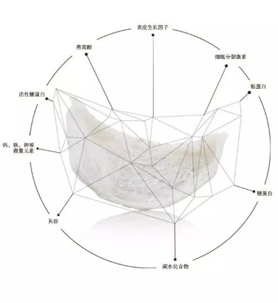 '揭秘燕窝中固形物成分：深入探究其主要物质构成'