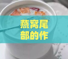 燕窝尾部的作用及其在炖煮与保健中的具体应用解析