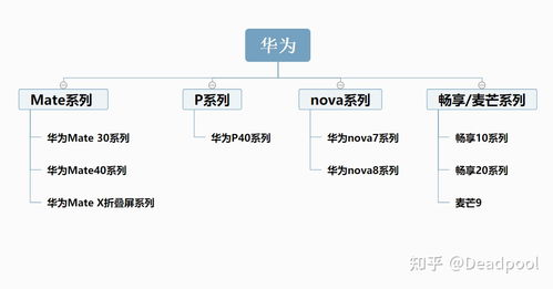 探讨燕窝市场合理价格区间与选购指南