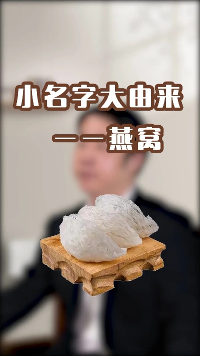 揭秘小燕窝雅号的寓意与起源：探寻名字背后的故事