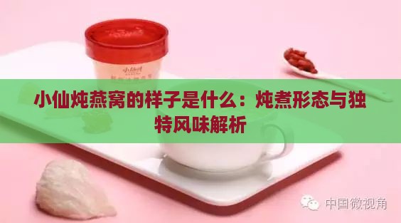 小仙炖燕窝的样子是什么：炖煮形态与独特风味解析