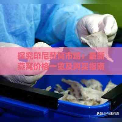 探究印尼燕窝市场：最新燕窝价格一览及购买指南