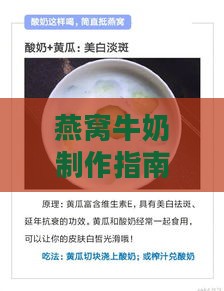 燕窝牛奶制作指南：详尽步骤、食用技巧与营养解析