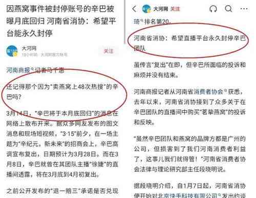 辛巴燕窝完整回顾：时间线、经过及法律后果解析