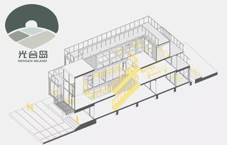 探索不同燕子窝建筑风格及其生态差异