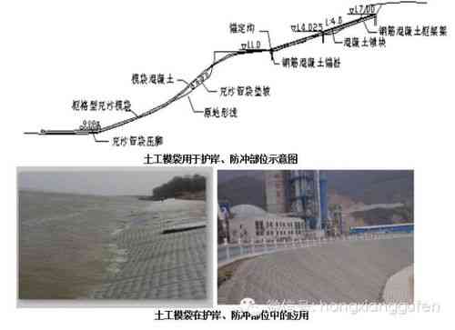 探索不同燕子窝建筑风格及其生态差异