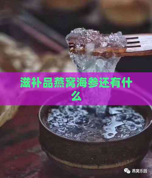 滋补品燕窝海参还有什么