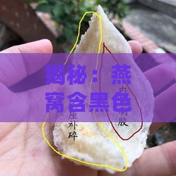 揭秘：燕窝含黑色杂质是否影响其高档品质？