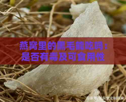 燕窝里的黑毛能吃吗：是否有及可食用性探讨