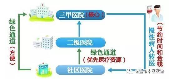 深入解析燕窝蛋白：功效、作用机理及食用指南