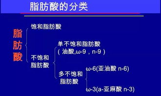 深入解析燕窝挑选：如何评估其关键营养成分含量