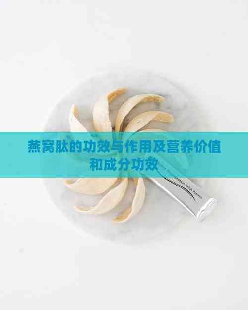 燕窝肽的功效与作用及营养价值和成分功效