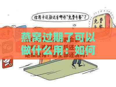 燕窝过期了可以做什么用：如何处理、还能否食用及过期影响解析