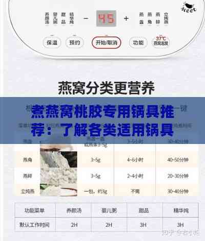 煮燕窝桃胶专用锅具推荐：了解各类适用锅具及选购指南