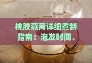 桃胶燕窝详细煮制指南：泡发时间、炖煮时长与步骤全解析