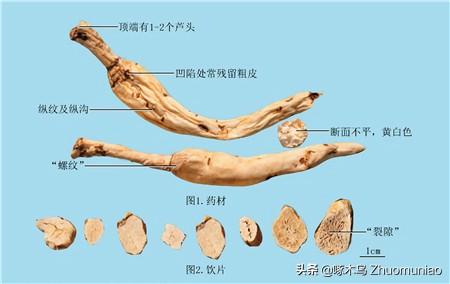 深入解析：燕窝对于肺部的滋养功效与实际补肺效果评估