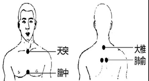 深入解析：燕窝对于肺部的滋养功效与实际补肺效果评估