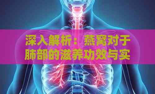 深入解析：燕窝对于肺部的滋养功效与实际补肺效果评估