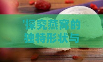 '探究燕窝的独特形状与结构特点'