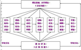 '探究燕窝的独特形状与结构特点'