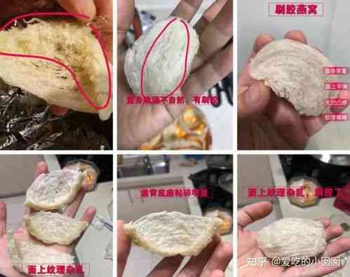 怀孕燕窝什么牌子比较好