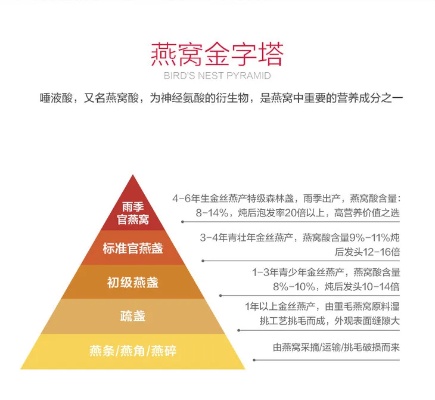 全新攻略：打造高端燕窝——从命名技巧到创意商标方案全方位解析