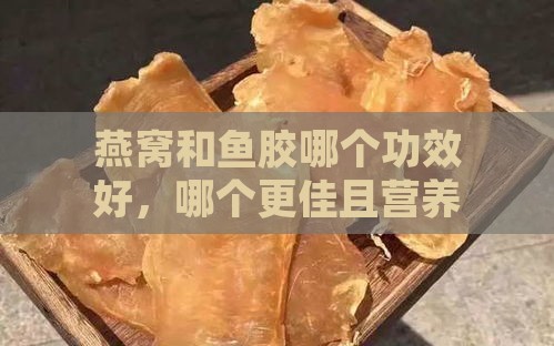 燕窝和鱼胶哪个功效好，哪个更佳且营养价值高，以及功效区别与选购建议