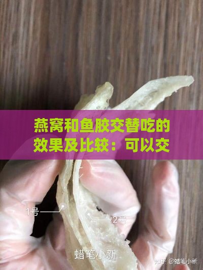 燕窝和鱼胶交替吃的效果及比较：可以交替食用吗？效果如何？