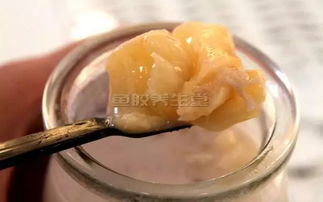 燕窝和鱼胶交替吃的效果及比较：可以交替食用吗？效果如何？