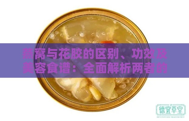 燕窝与花胶的区别、功效及美容食谱：全面解析两者的差异与应用