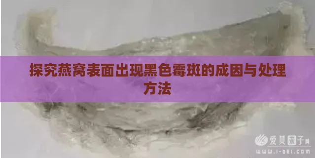 探究燕窝表面出现黑色霉斑的成因与处理方法